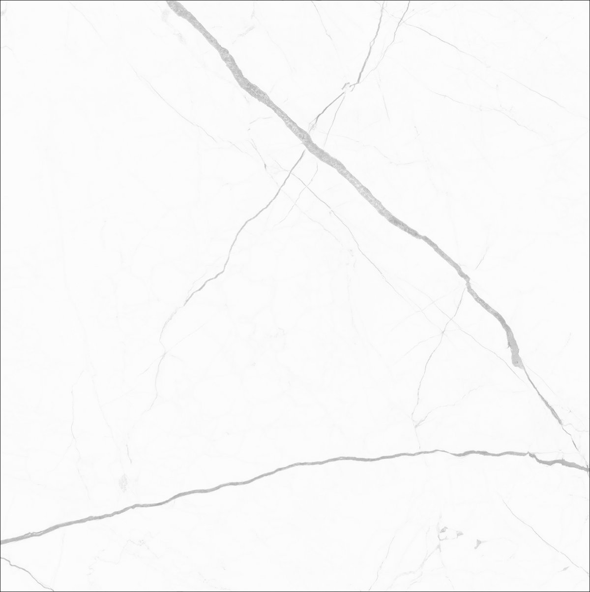 رایزن سفید فول پولیش نانو 100*100