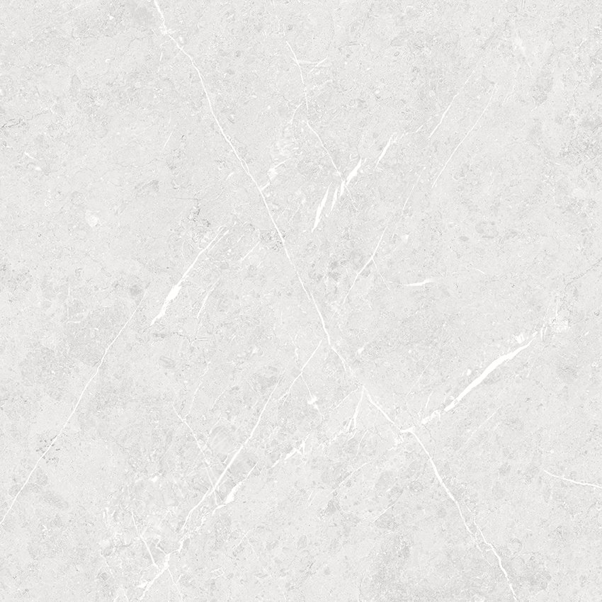 لیدیا طوسی مات 60*60 