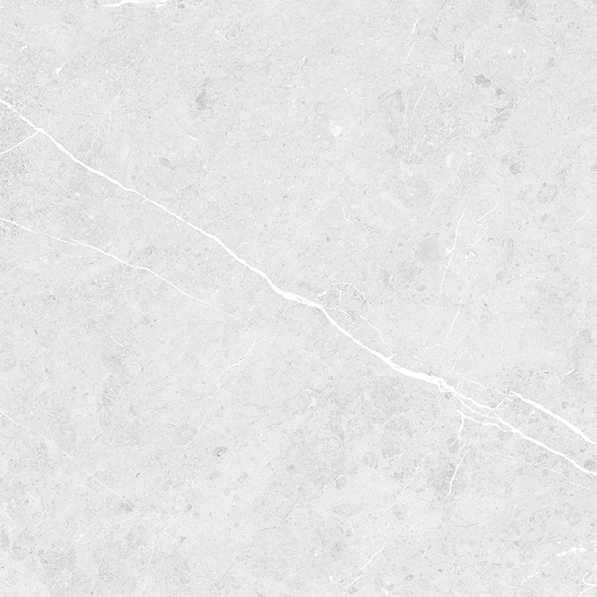 لیدیا طوسی مات 60*60 